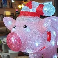 Pigs&Co (@rob12019) 's Twitter Profile