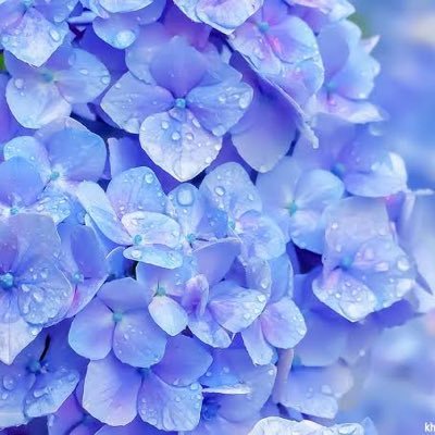 theater_0702's profile picture. 元tj演劇部/春からIUHW 赤坂キャンパス  バレーボールと演劇とtrpgが好き