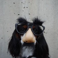 UNKNOWN USER (@inthe_hour) 's Twitter Profile Photo UNKNOWN USER (@inthe_hour) 's Twitter Profile Photo
