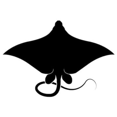 904Stingray's profile picture. 