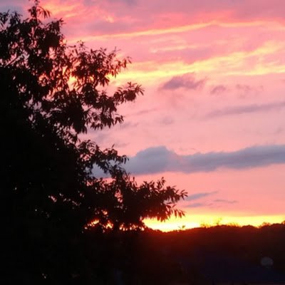 TheresaPuc16308's profile picture. 