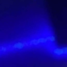 noaz08's profile picture. 