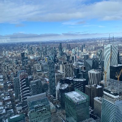 RicedKrypto's profile picture. 