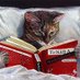 Just here for cats & the Science of Reading (@Dishrag__) Twitter profile photo