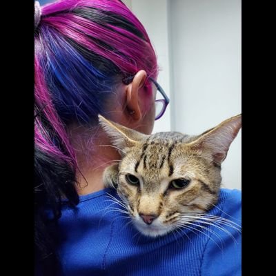 VetGirlTT's profile picture. 