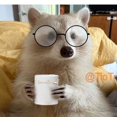 dnnsaurus's profile picture. Vagabunde emocional / Poliamorosx