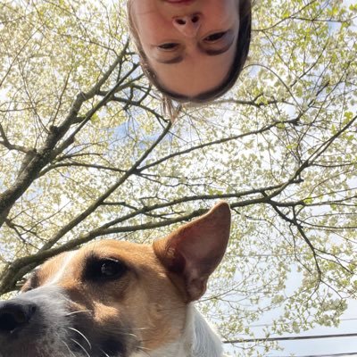 SarahStar16's profile picture. if you don't like puppies we can't be friends #blessed