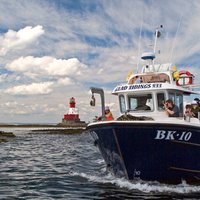 William Shiel (@farnesdiving) 's Twitter Profile
