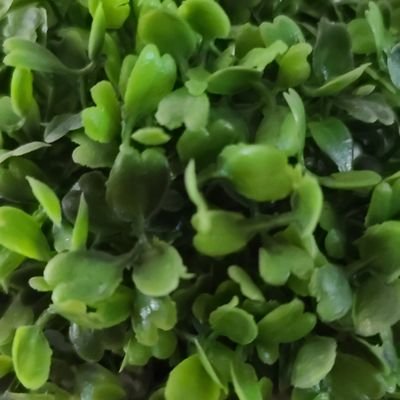 DrAbdelhadi's profile picture. 