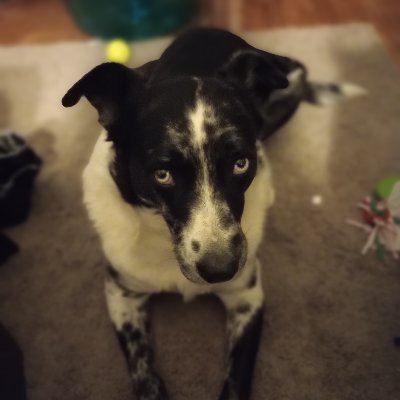 WhiskeyTango_44's profile picture. So many interests, so little time. There's a bigger picture; just widen the lens.
I block Bots/Fake accounts.