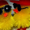 ben hastings - @ben_4life - Twitter