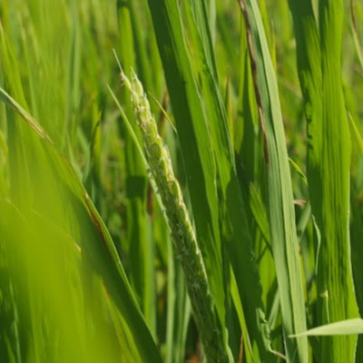 MarcoB843289312's profile picture. 