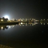 انهار (@anharfa) 's Twitter Profile