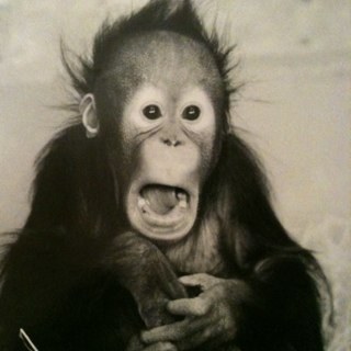 GaryCamplejohn's profile picture. 