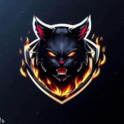 Hellkat Esports, an organization focused on team play and tournament promotion in VR games.