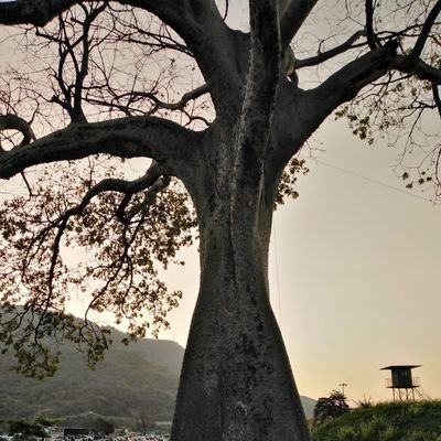 KevinCLK21's profile picture. Tan simple como la vida misma.