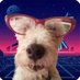 Fernando Alegre 🛸Tabi 🟧 🐉 $MON (@fernando93ok) Twitter profile photo Fernando Alegre 🛸Tabi 🟧 🐉 $MON (@fernando93ok) Twitter profile photo
