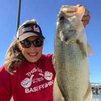 Janet Stephens (@zbassbabe) 's Twitter Profile Photo Janet Stephens (@zbassbabe) 's Twitter Profile Photo