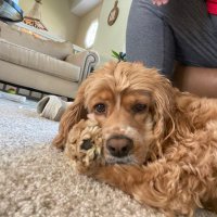 Ging (@ging92697) 's Twitter Profile