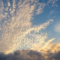 コンサルって肩書の人で、儲けさせてくれる本物いないよね☞あ、私は、儲けさせたことしかないけどね (@4lf5drt5fsubtj0) 's Twitter Profile