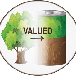VALUEDPG's profile picture. UKRI programme grant on "Bio-derived and Bio-inspired Advanced Materials for Sustainable Industries": We create the next generation of sustainable materials