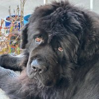 FedUp (@fedup4now2) 's Twitter Profile Photo