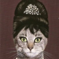 Robnoxious Rachel (@robnoxious24) 's Twitter Profile