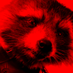 Grzegorz Błachut (@donkanee) Twitter profile photo Grzegorz Błachut (@donkanee) Twitter profile photo