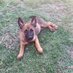 Terry Jager (@terry8555735362) Twitter profile photo Terry Jager (@terry8555735362) Twitter profile photo
