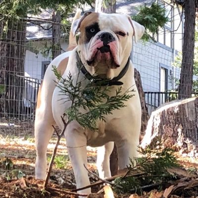 Laura2775226924's profile picture. 