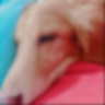 utouto97's profile picture. Webのエンジニア
