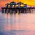 Suz (@chattamcapecod) Twitter profile photo Suz (@chattamcapecod) Twitter profile photo