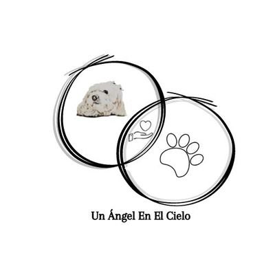 Página oficial de Un Ángel En El Cielo. Profesionista con gran amor a los animales y dedicado a apoyar a rescatistas y albergues. Respeta a los animales 🤍