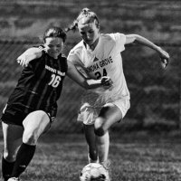 Avery (@avestirsch) 's Twitter Profile