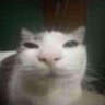 Maxirauxsus's profile picture. #12370 Player in the Dominican Republic in any game