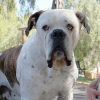 NeverJabber (@neverjabber) 's Twitter Profile