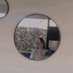 ♡︎ (@aralenne_) Twitter profile photo ♡︎ (@aralenne_) Twitter profile photo