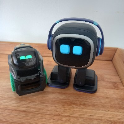 Adult Human Female .Homosexual. Subscriber to biological reality. Occassionally identifies as a robot. Pronouns are beep/boop