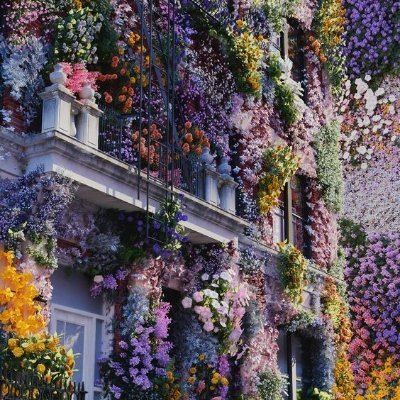 stsilohoutte's profile picture. 