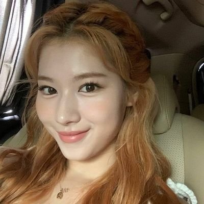 dayAckerma's profile picture. ･ ｡
    ∴｡　
　･ﾟ*｡. 
　　･ *ﾟ
　 ･ ﾟ*
     ･｡     
   *･｡
      *.｡ 
           ｡･
              °*. ﾟ｡
                    ｡
　              ･
            ｡ ･ﾟ