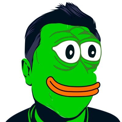 #PEPE + #ELON- a Meme token for the Pepe culture by BitBall Ecosystem on Ethereum chain with planned launchpad.