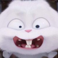 KKLN 🐰💵 (@kankullanut) 's Twitter Profile Photo