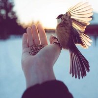 صلى الله عليه وسلم (@keblah1) 's Twitter Profile