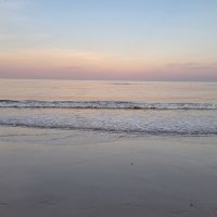 CommonSensical (@joycommonsense) 's Twitter Profile
