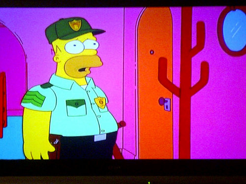 hurlybird23's profile picture. 