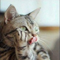 Elena (@elena_p2017) 's Twitter Profile Photo Elena (@elena_p2017) 's Twitter Profile Photo