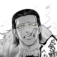 °|° ꜱɪʀ ᴄʀᴏᴄᴏᴅɪʟᴇ °|° (@d3s3rtdun3sk1ng) 's Twitter Profile Photo