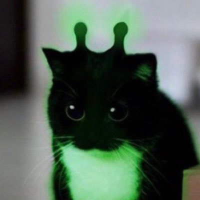 epicthrowawayfr's profile picture. 18 | Throwaway account