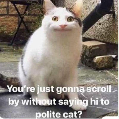 Chronicling animals with decorum and good manners