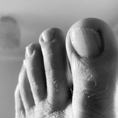 OnionConundrum's profile picture. Technology, personality and leadership, business, society